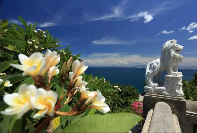 1479438071721685.jpg 2-1.jpg