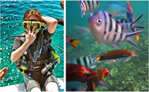 1479706846704571.jpg 3.jpg