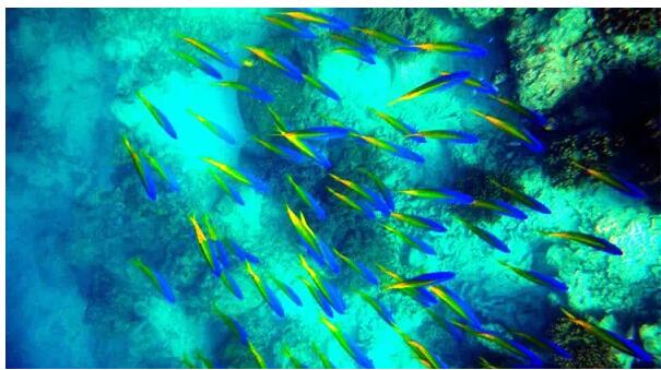 1479706854844663.jpg 4.jpg