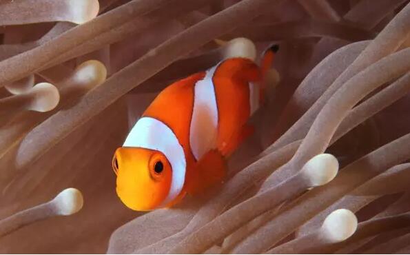 1479706939415125.jpg 8.jpg