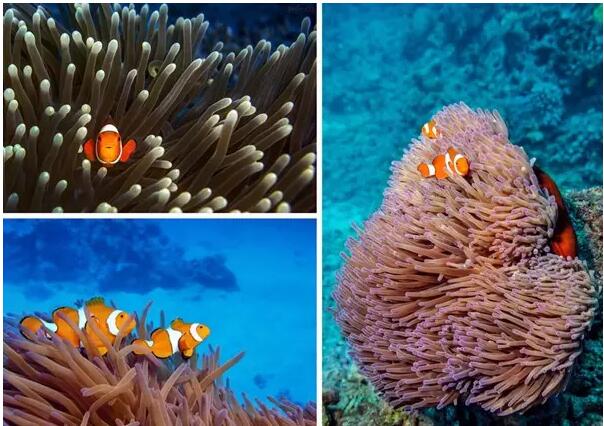 1479706961304920.jpg 9.jpg