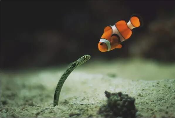 1479706967627216.jpg 10.jpg