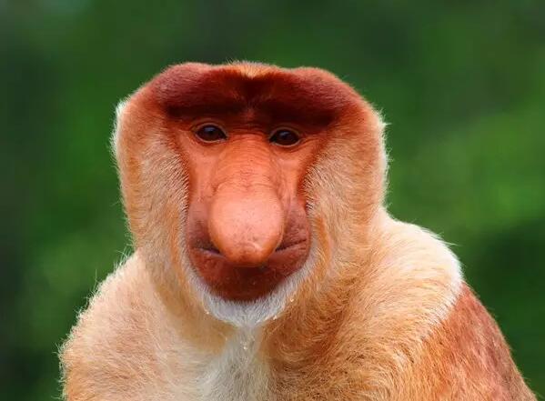 1479706981941099.jpg 11.jpg