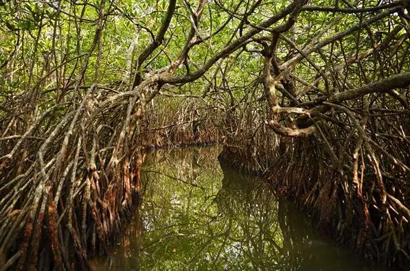 1479707005713878.jpg 14.jpg