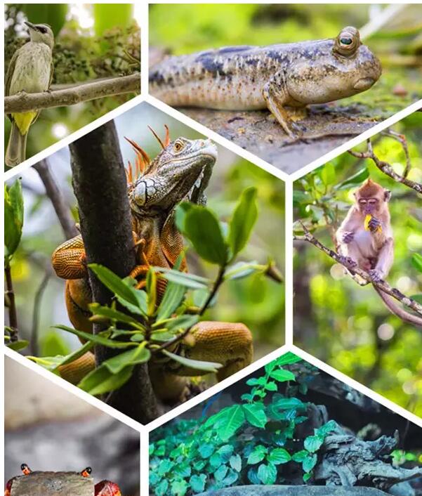 1479707011231513.jpg 15.jpg