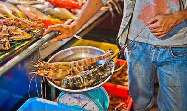 1479707088625607.jpg 21.jpg