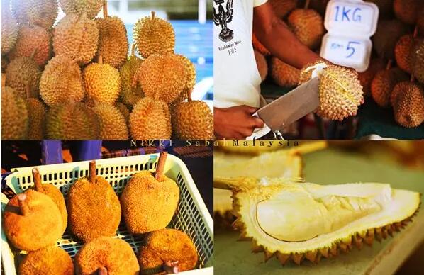 1479707118576648.jpg 24.jpg