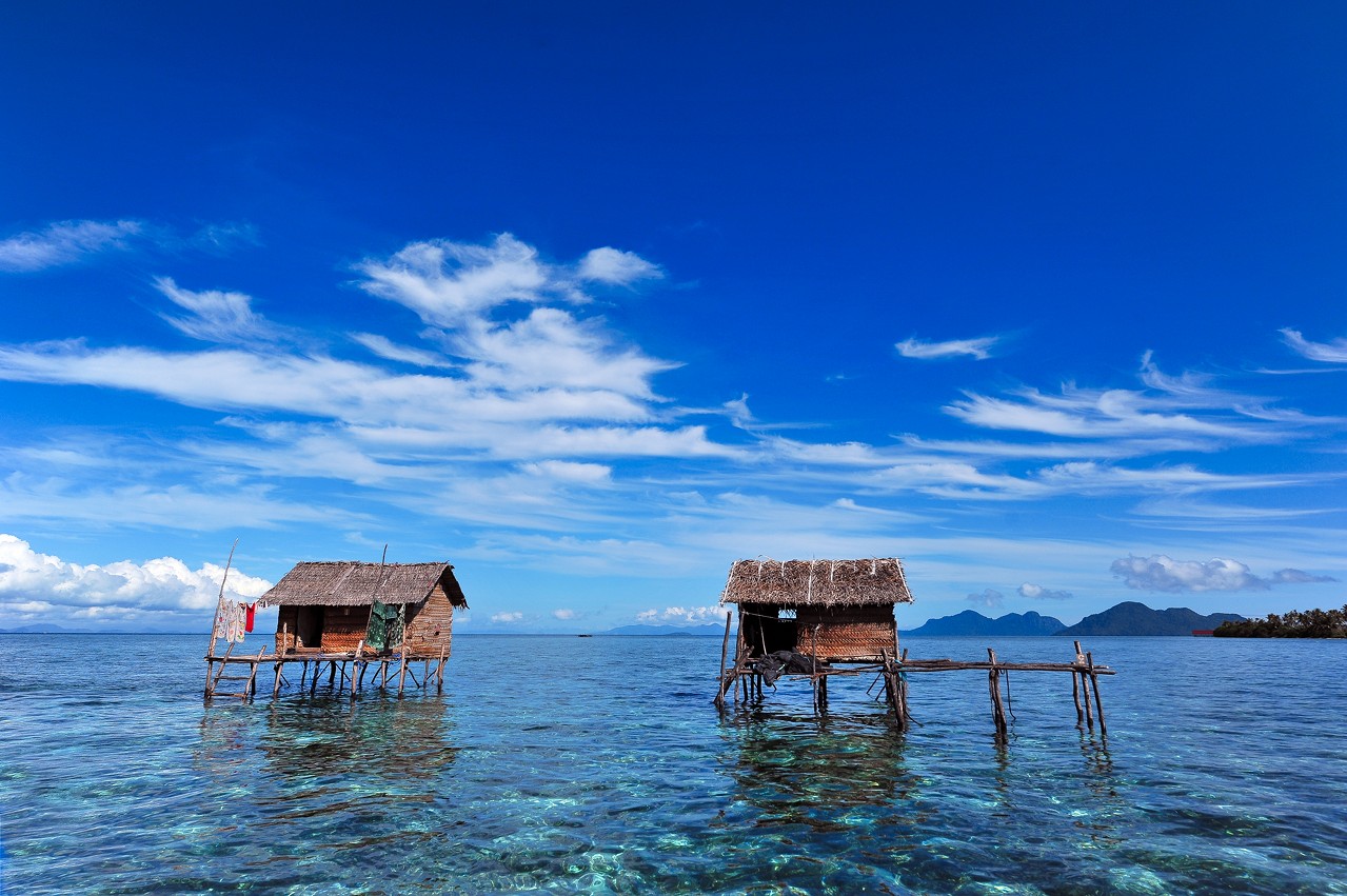 1479715262704776.jpg 222222222222.jpg