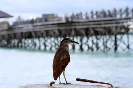 1479715749863690.jpg 3.jpg