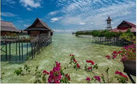 1479715760136585.jpg 1.jpg