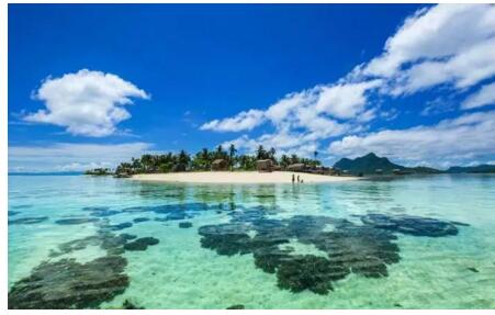 1479715771509112.jpg 4.jpg