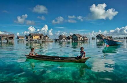 1479715776839391.jpg 5.jpg