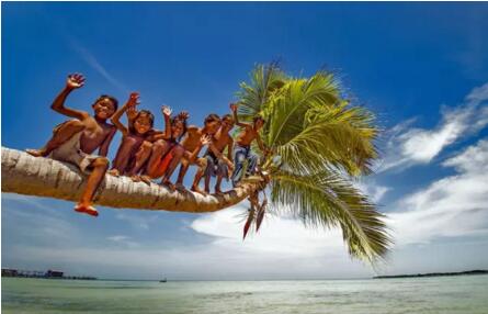 1479715793853400.jpg 6.jpg