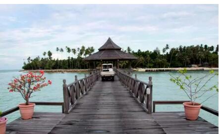 1479715916531483.jpg 14.jpg