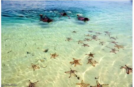 1479715921728195.jpg 15.jpg