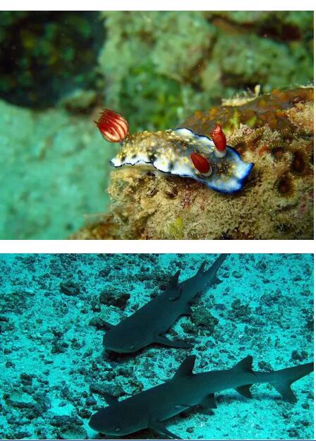 1479715997156163.jpg 19.jpg