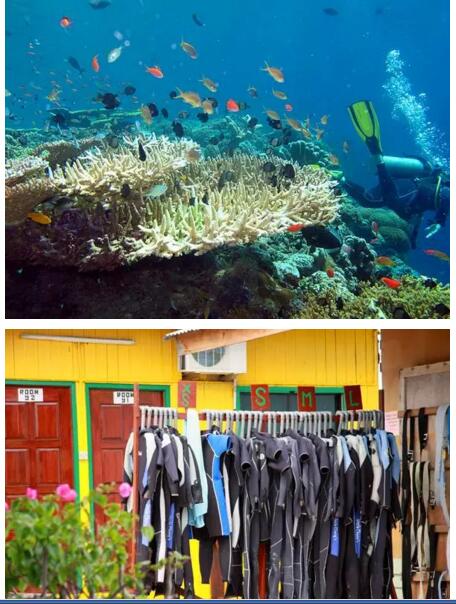 1479716011607868.jpg 20.jpg