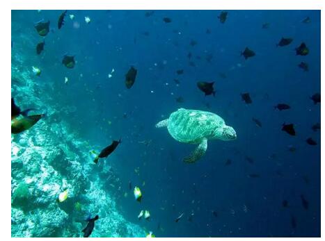 1479716025284284.jpg 21.jpg