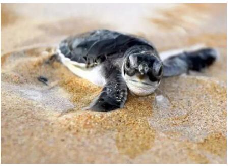 1479716039264000.jpg 22.jpg