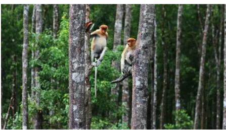 1479716068875105.jpg 24.jpg