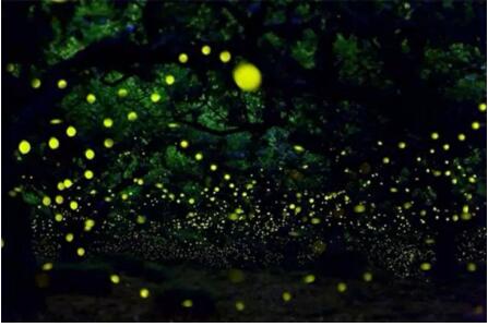 1479716081984889.jpg 25.jpg