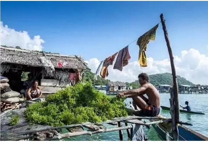 1479718572813087.jpg 6.jpg