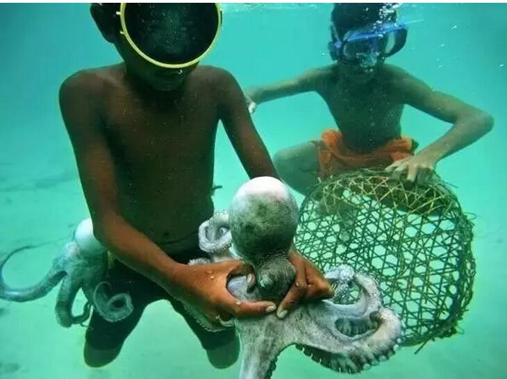 1479718631563968.jpg 11.jpg