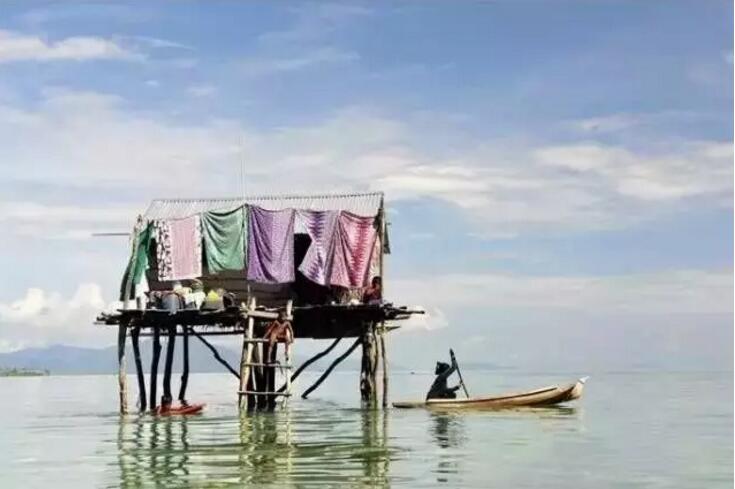 1479718698236040.jpg 14.jpg