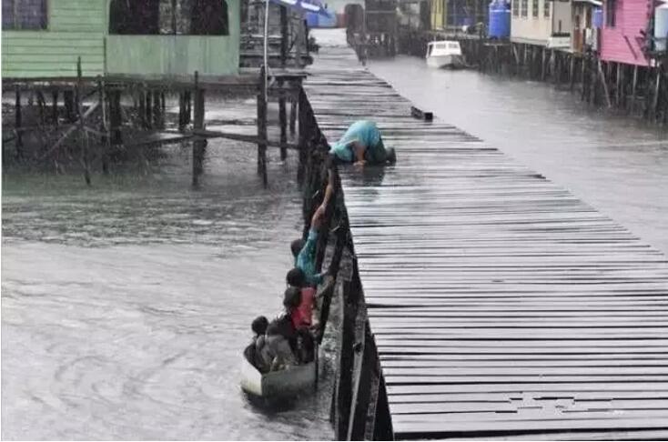 1479718769306609.jpg 21.jpg