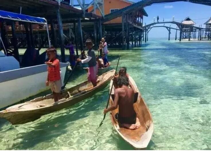 1479718800796838.jpg 24.jpg