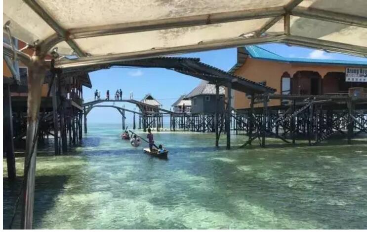 1479718810890313.jpg 25.jpg