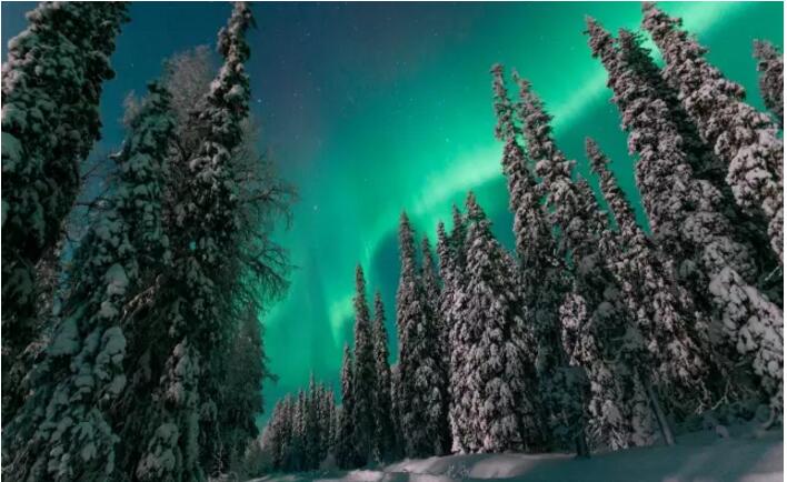 1480385805480390.jpg 5.jpg