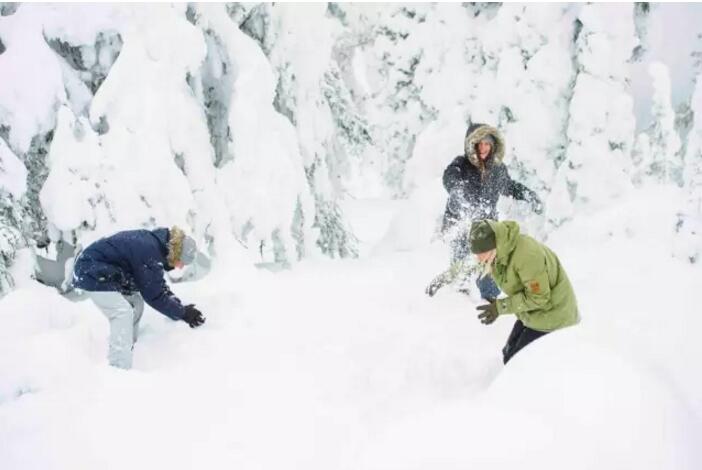 1480385977472208.jpg 8.jpg