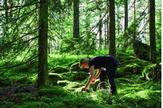 1480387539941114.jpg 1.jpg