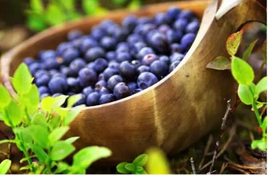 1480387569515262.jpg 3.jpg