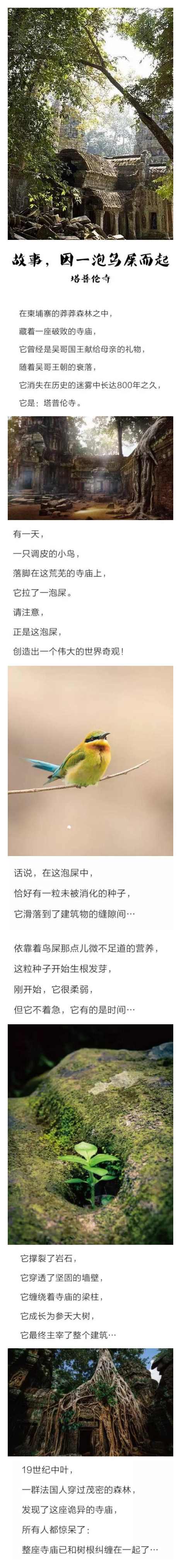 第一张.jpg