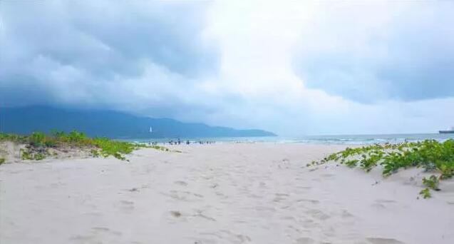 1481097539888655.jpg 2.jpg