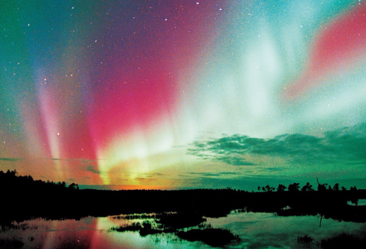 1481168749520360.jpeg 2222222.jpeg