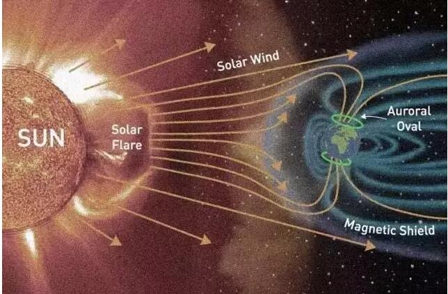 1481169436396774.jpg 2.jpg