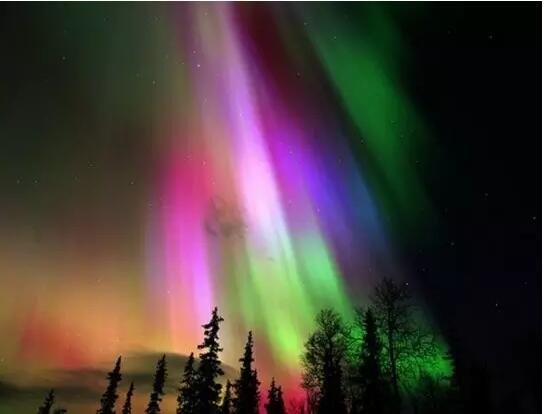 1481169445228900.jpg 3.jpg