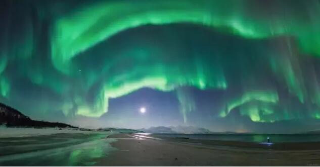 1481169474483532.jpg 6.jpg