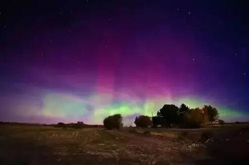 1481169479148710.jpg 7.jpg