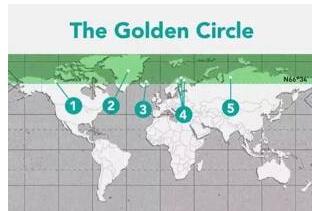 1481169527227565.jpg 8.jpg