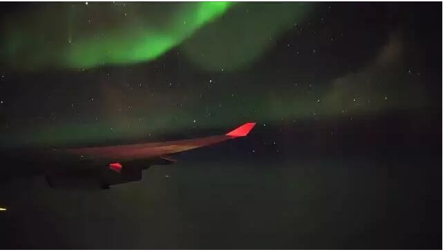 1481169575447753.jpg 12.jpg