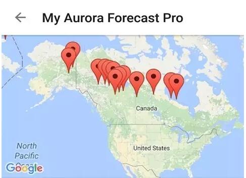 1481169626512570.jpg 17.jpg