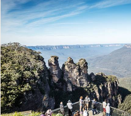 1481510020238427.png 2.png