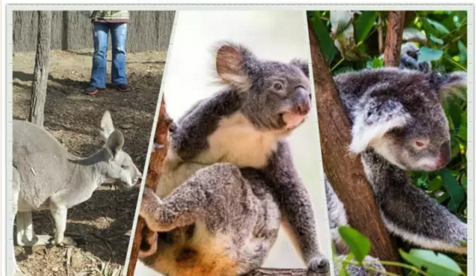 1481510115908687.png 10.png