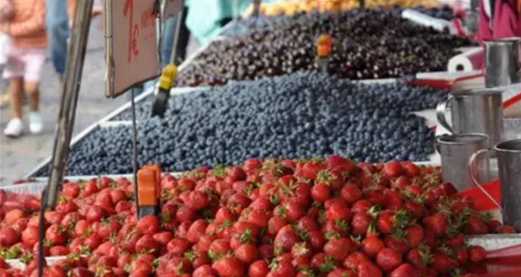 1482375038927258.png 4.png