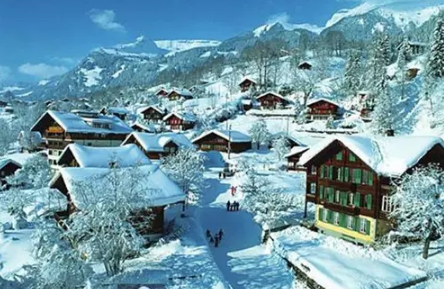 1482375306416873.png 18.png