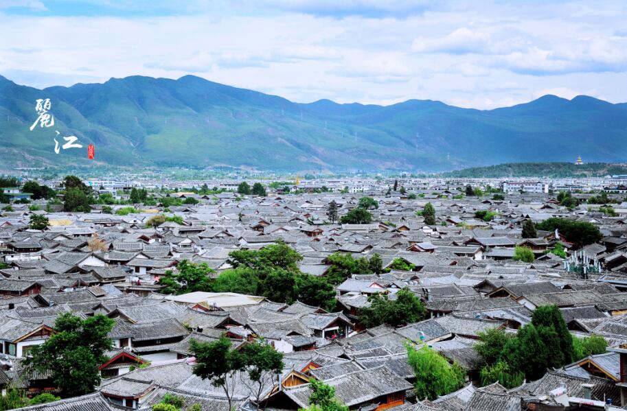 1496475433257680.jpg lj4.jpg